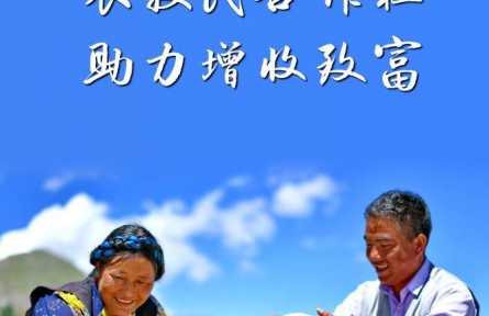 西藏將打造700家以上資產(chǎn)過(guò)百萬(wàn)元農(nóng)牧民合作社