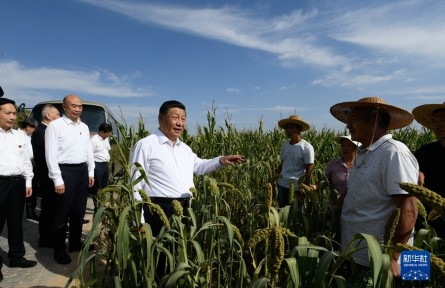 習近平：解放思想改革創(chuàng)新再接再厲 譜寫陜西高質量發(fā)展新篇章