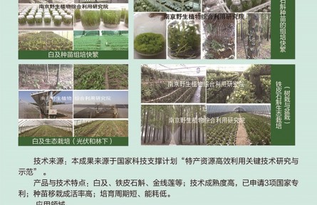 功能性植物種苗工廠化組培快繁、生態(tài)立體種植及高值產(chǎn)品開發(fā)