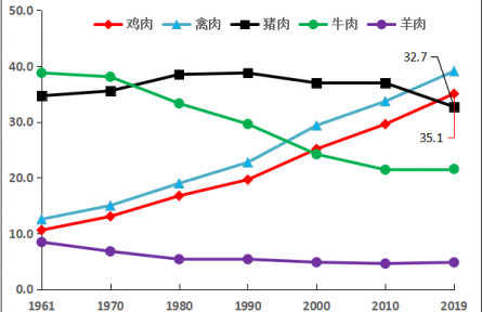 肉雞種業(yè)的昨天、今天和明天