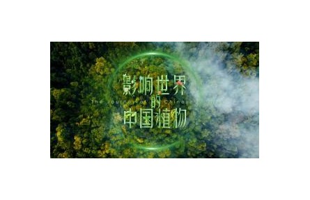 影響世界的中國植物 第7集 大豆