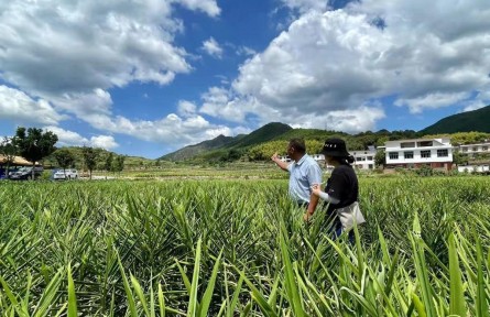 讓百姓的日子越過越紅火——民生一線觀察