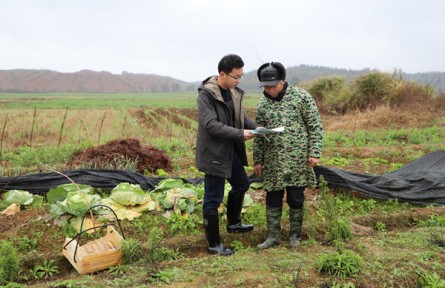 江西樂安：“查農(nóng)情、知農(nóng)需” 氣象服務送下鄉(xiāng)