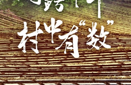 網(wǎng)跨千年，村中有“數(shù)”——“數(shù)字鄉(xiāng)村”賦能西部發(fā)展觀察