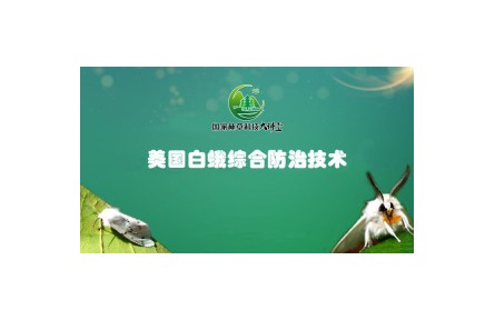 《美國白蛾綜合防治技術(shù)》系列講座視頻