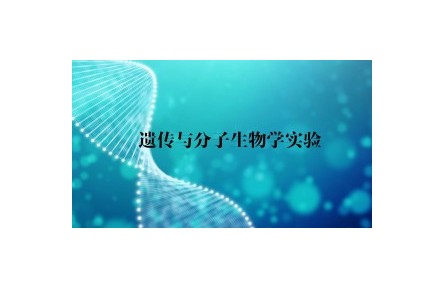 《遺傳與分子生物學實驗》講座系列視頻