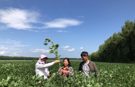 “豆大”的事兒，她一干就是37年