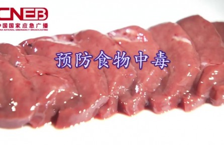 如何預(yù)防食物中毒