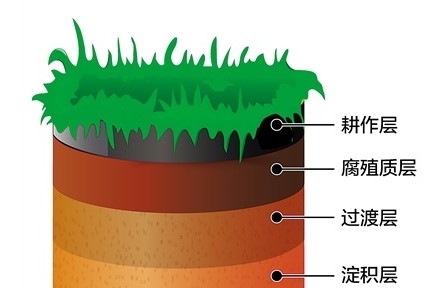 科普 | 黑土地為什么是黑色的？