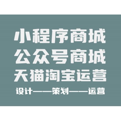 電商平臺、網(wǎng)站、公眾號商城搭建