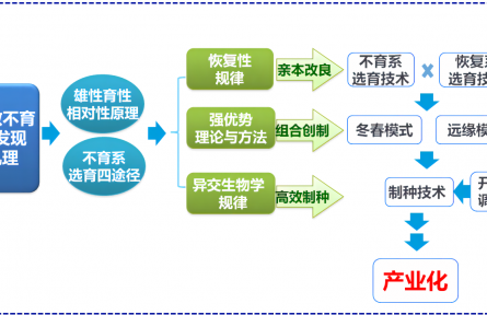 北京市農(nóng)科院試驗基地雜交小麥開始全面秋播