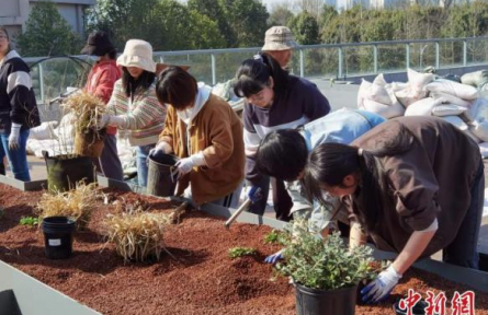 浙江農(nóng)林大學(xué)：創(chuàng)新勞動教育課程內(nèi)容 “燒菜”“種花”成必修學(xué)分