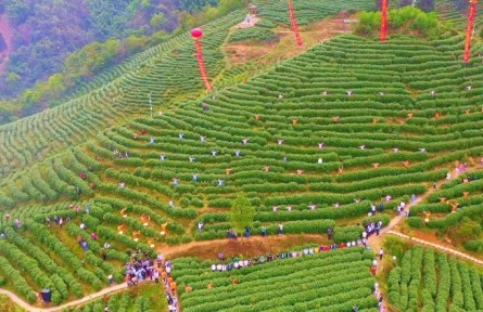 四川達州大竹縣舉辦第六屆“喊山開茶”文化節(jié)