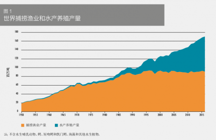 科普 | 在海洋中“放牧”——海洋如何變糧倉？