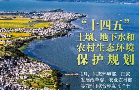 長江黃河、黑土濕地……縱覽2022美麗中國新畫卷