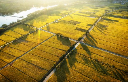 科技名詞 | 灌區(qū)  irrigation district，irrigation area