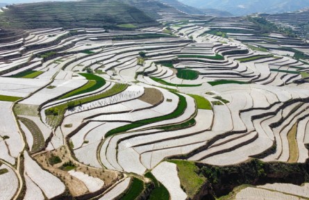 糧穩(wěn)天下安：中國(guó)全方位夯實(shí)糧食安全根基