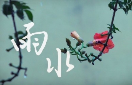 雨水：執(zhí)傘迎春雨 邂逅詩(shī)意中國(guó)