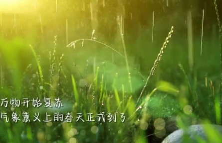 雨水：迎一場(chǎng)春雨 等一片花開