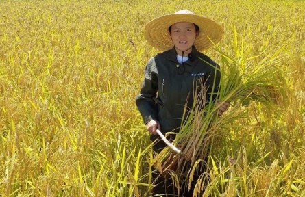 全國三八紅旗手標(biāo)兵陳雨佳：爭做興糧節(jié)糧行動(dòng)派 當(dāng)好鄉(xiāng)村振興新農(nóng)人