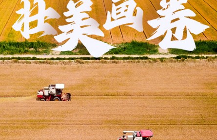 打造鄉(xiāng)村振興齊魯樣板 山東繪就農業(yè)高質量發(fā)展壯美畫卷