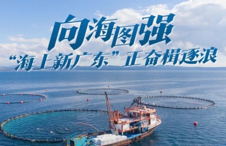 向海圖強！“海上新廣東”正奮楫逐浪