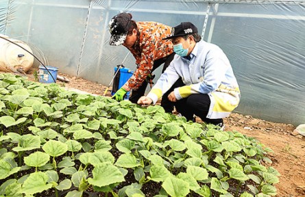 白靜華：芳華獻(xiàn)給田野 技術(shù)改變農(nóng)業(yè)