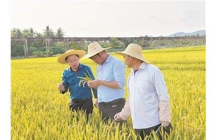 40年南北遷徙，育種人無問西東——記江蘇里下河地區(qū)農(nóng)業(yè)科學研究所水稻育種團隊