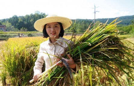 中國青年五四獎章”獲得者鄧小燕：“燕兒”歸來稻更香