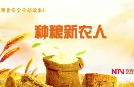 《糧食安全干部讀本》：種糧新農(nóng)人