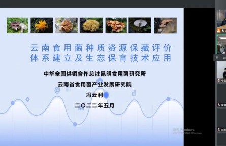 中華全國(guó)供銷合作總社昆明食用菌研究所“云南食用菌種質(zhì)資源收集保存、鑒定評(píng)價(jià)和生態(tài)促繁技術(shù)應(yīng)用”成果評(píng)價(jià)公告【2022（47號(hào)）】