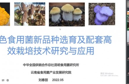 中華全國供銷合作總社昆明食用菌研究所“特色食用菌新品種選育及配套高效栽培技術創(chuàng)新與產(chǎn)業(yè)化應用”成果評價公告【2022（48號）】