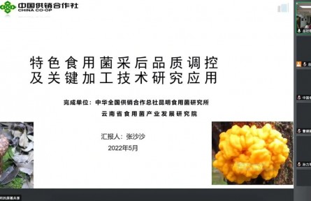 中華全國供銷合作總社昆明食用菌研究所“特色食用菌采后品質(zhì)調(diào)控及關鍵加工技術推廣應用”成果評價公告【2022（50號）】