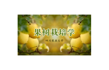 《果樹栽培學(xué)》課程系列視頻