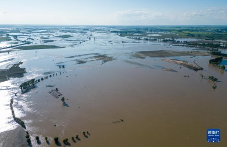 記者五常農(nóng)田實地探訪：強降雨對五常大米有何影響？