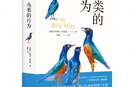 妙趣橫生的鳥類私生活，顛覆你的傳統(tǒng)認知