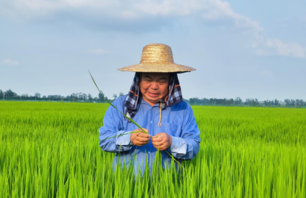 陳衛(wèi)軍：扎根科研稻田 端牢“中國飯碗”