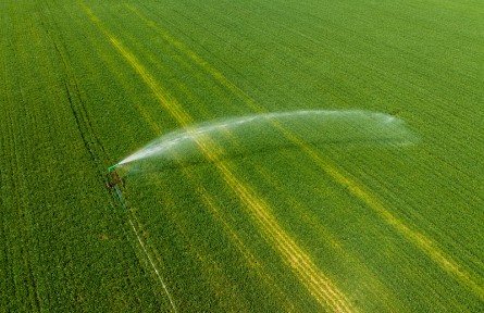 科技名詞 | 引水灌溉 diversion irrigation