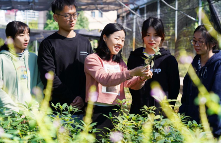 浙江農(nóng)林大學：把科技播種在“夢開始的地方”