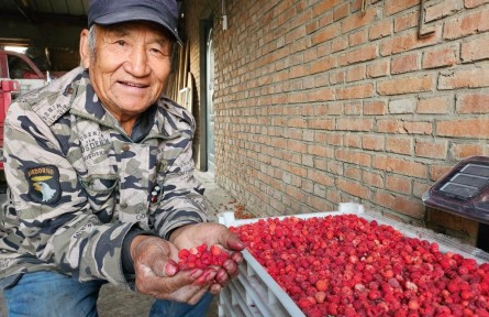 黑龍江甘南：?？h共建 為農(nóng)業(yè)插上科技的翅膀