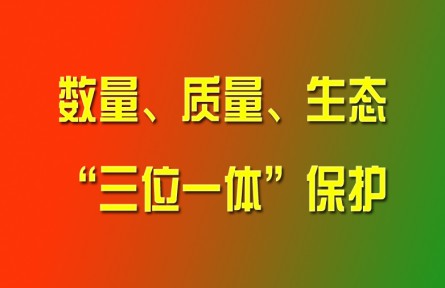 習(xí)近平論強化耕地數(shù)量、質(zhì)量、生態(tài)“三位一體”保護