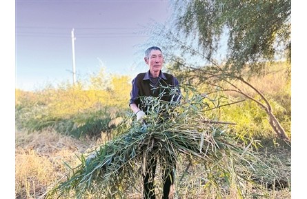 治沙老人唐八十誓把沙海變綠洲