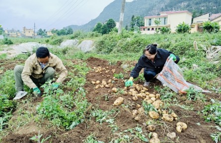 選調(diào)生蔣炎廷：離泥土越近越安心