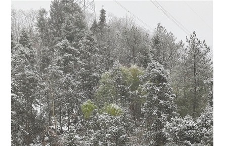 未來(lái)兩天將進(jìn)入本輪雨雪過(guò)程最強(qiáng)時(shí)段 多地多部門合力應(yīng)對(duì)低溫雨雪冰凍天氣