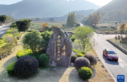 黨建引領 產業(yè)做強——“中國扶貧第一村”福建赤溪鄉(xiāng)村振興蹲點觀察