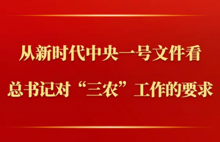 第一觀察 | 從新時(shí)代中央一號(hào)文件看總書記對(duì)“三農(nóng)”工作的要求