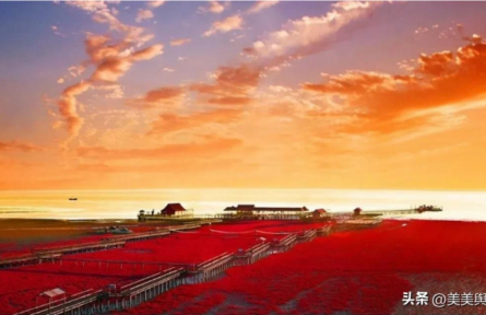 世界紅色海岸線——盤錦紅海灘