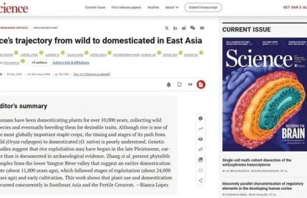 《科學(xué)》雜志發(fā)表上山文化重要研究成果 進一步確認我國是世界水稻起源地