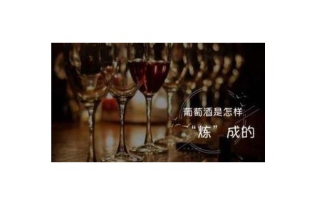 葡萄酒是怎樣“煉”成的