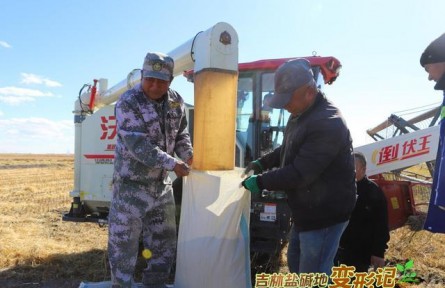 破“堿”重生！吉林鹽堿地變形記